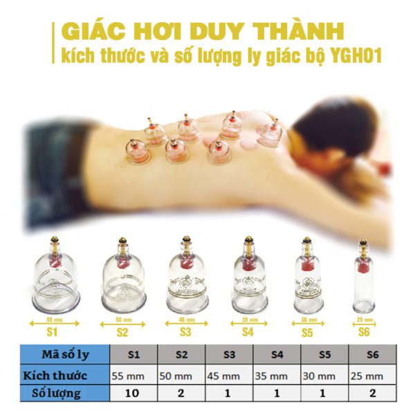 Số lượng ly giác trong bộ YGH01