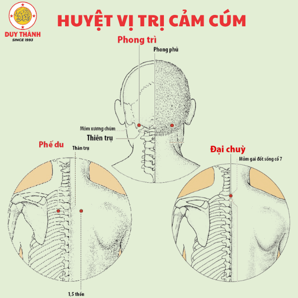Cách kết hợp giác hơi với massage lên huyệt vị chữa cảm cúm hiệu quả